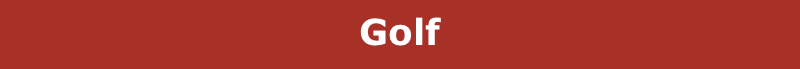 Golf 2010 Results